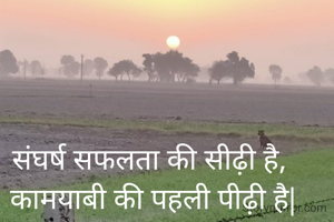 संघर्ष सफलता की सीढ़ी है,
 कामयाबी की पहली पीढ़ी है|