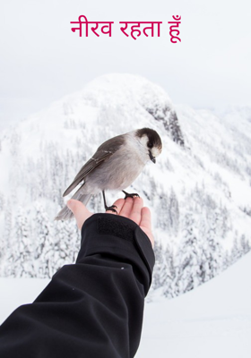नीरव रहता हूँ