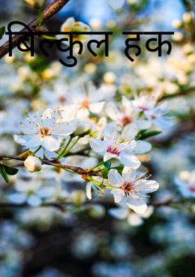 बिल्कुल हक