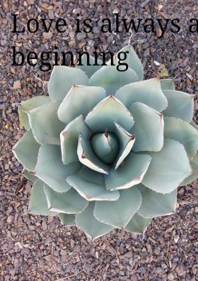Love Is Always A Beginning