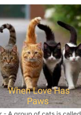 When Love Has Paws 