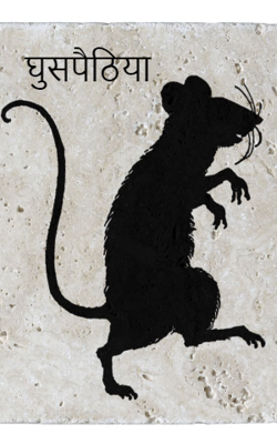 घुसपैठिया