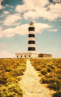 The Lost Girl - Lily