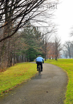 ધીરજનાં ફળ મીઠાં