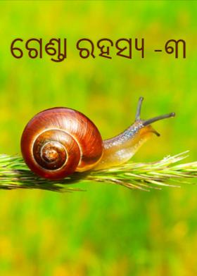 ଗେଣ୍ତା ରହସ୍ୟ ‐୩