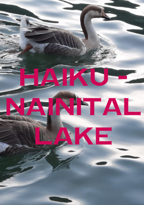 HAIKU - NAINITAL LAKE