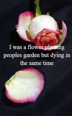 I Was A Flower Planting Peoples Garden But Dying In The Same Time