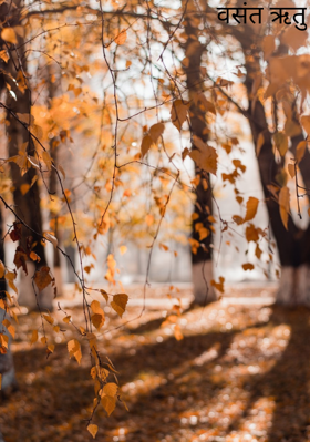 वसंत ऋतु