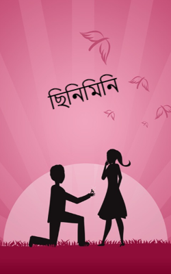 ছিনিমিনি