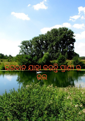 ଭଗବାନ ଯାହା କରନ୍ତି ପ୍ରାଣୀର ଭଲ