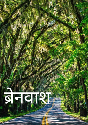 ब्रेनवाश