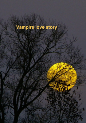 Vampire love story