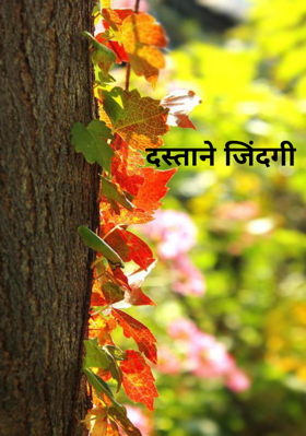 दस्ताने जिंदगी