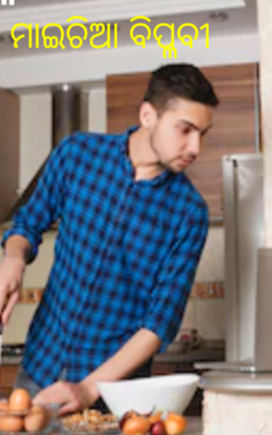 ମାଇଚିଆ ବିପ୍ଳବୀ