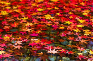 life is Game with various levels🎯,
Problems are levels,
Clear it ,
with the same enthusiasm,
as you started!!


Banu Priya.D