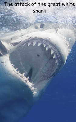 The attack of the great white shark