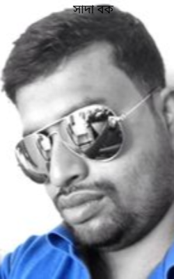সাদা বক