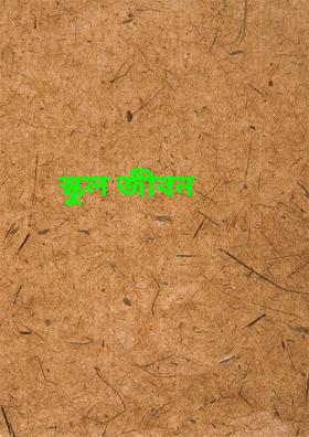 স্কুল জীবন