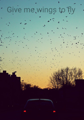 Give Me Wings To Fly