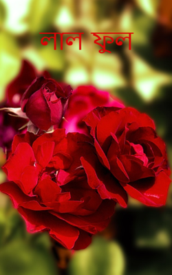 লাল ফুল