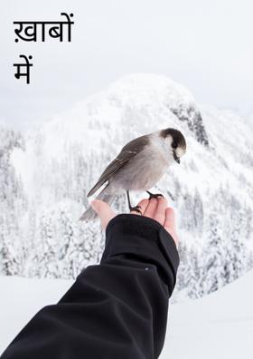 ख़ाबों में उड़ान