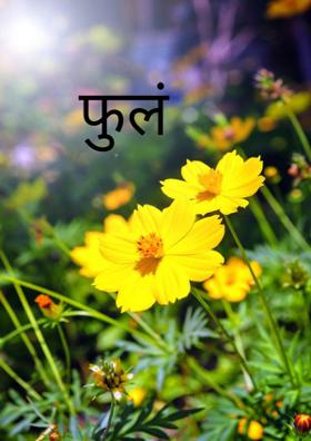 फुलं