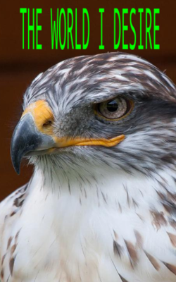 The World I Desire