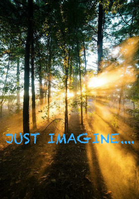 Just imagine