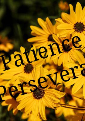 Patience, Perseverance