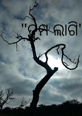 ତୁମ ଲାଗି