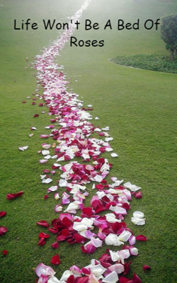 Life Won't Be A Bed Of Roses