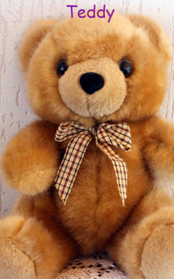 Teddy
