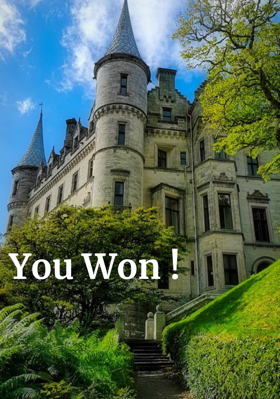 You Won !