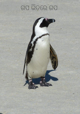 ଗପ ଭିତରେ ଗପ