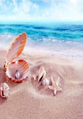 ସାଗର ବେଳାରେ ଟିକି ଶାମୁକା ମୁଁ