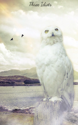 थ्री इडियट्स