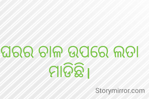 ଘରର ଚାଳ ଉପରେ ଲତା ମାଡିଛି।