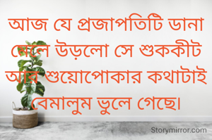 আজ যে প্রজাপতিটি ডানা মেলে উড়লো সে শুককীট আর শুয়োপোকার কথাটাই বেমালুম ভুলে গেছে৷