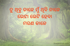ତୁ ଥିବୁ ଡାଳେ ମୁଁ ଥିବି ନାଳେ
ଭେଟା ଭେଟି ହେବା
ମରଣ କାଳେ