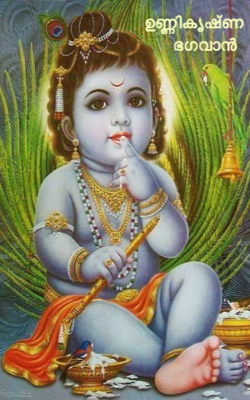 ഉണ്ണികൃഷ്ണ ഭഗവാൻ