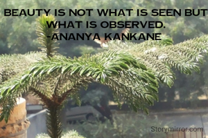 Beauty is not what is seen but what is observed.
-Ananya Kankane 