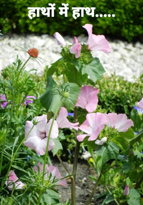हाथों में हाथ.....