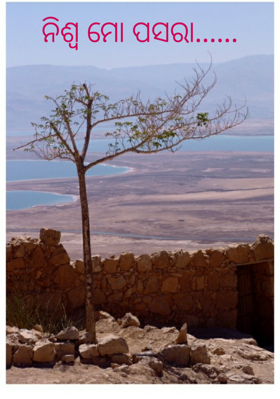 ନିଶ୍ବ ମୋ ପସରା