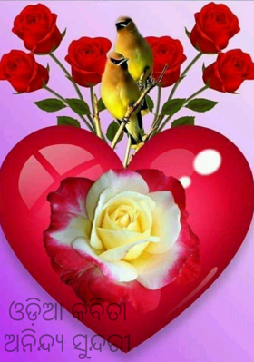 ଅନିନ୍ଦ୍ୟ ସୁନ୍ଦରୀ