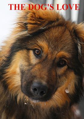 A Dog's Love