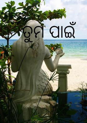 ତୁମ ପାଇଁ