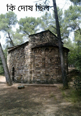 কি দোষ ছিল