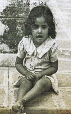 फूलझाड़ियां