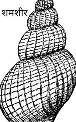 शमशीर