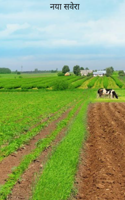 नया सवेरा